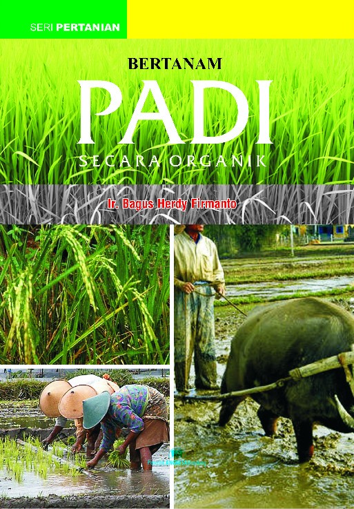 Bertanam Padi secara Organik